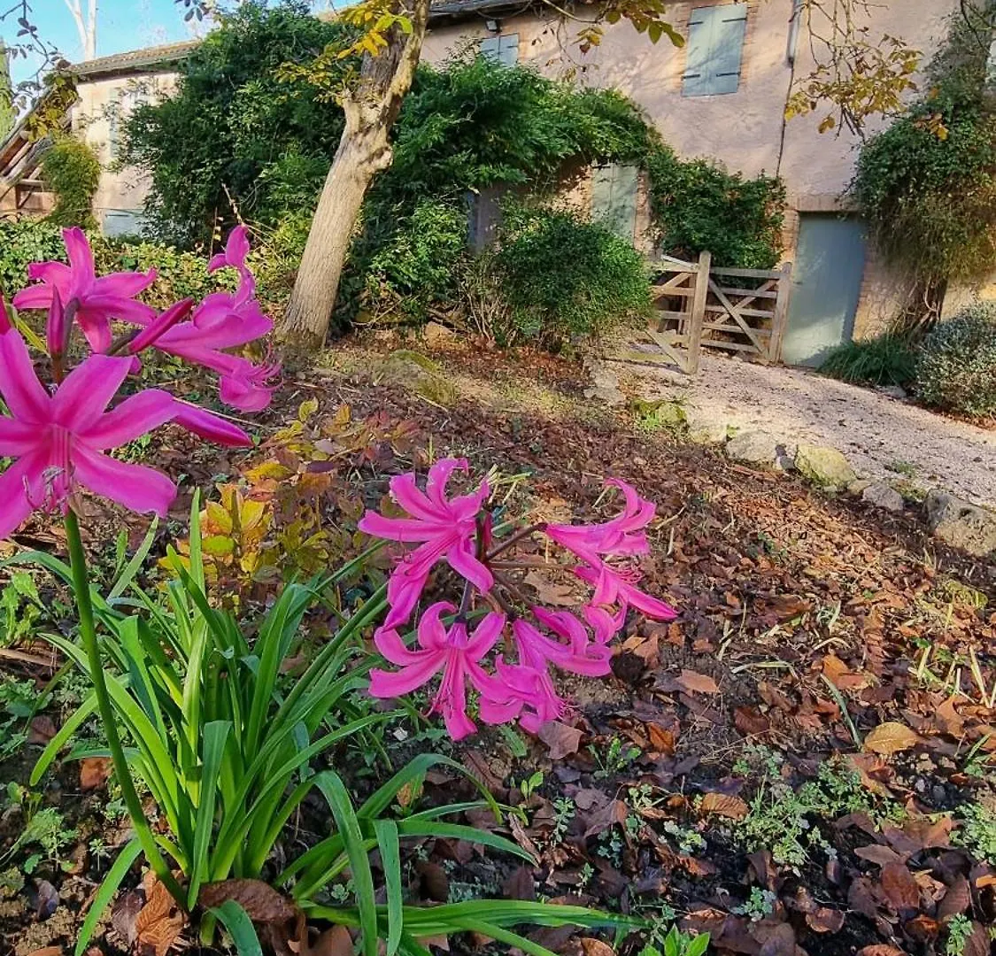 Holiday home Lobersane La Maison Du Meunier Saint-Laurent  France
